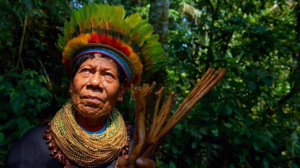 Cat's-Claw-Benefits-Native-Amazonian